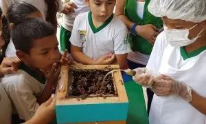 Meliponicultura para niñas y niños